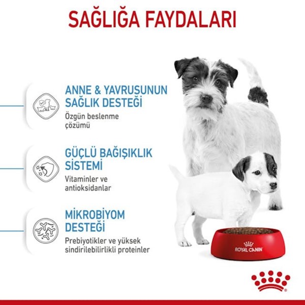 ROYAL CANİN DOG MINI STARTER MOTHER&BABY 1 KG